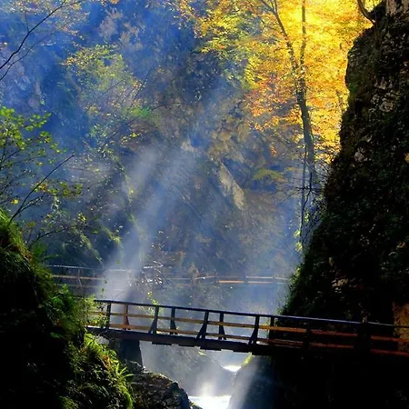 Stepanjan アパート