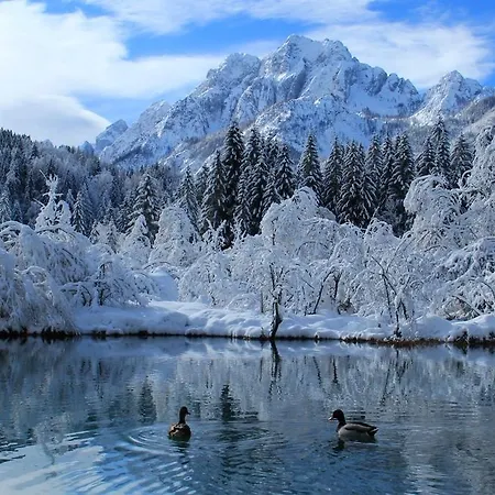 Stepanjan アパート