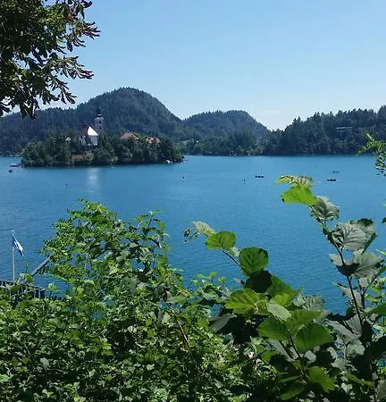 Stepanjan Appartement Bled