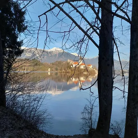 Stepanjan * Bled