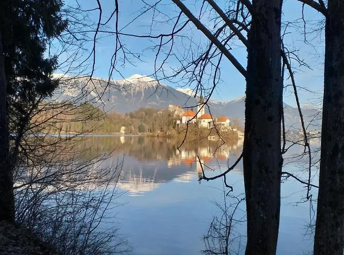 Stepanjan * Bled